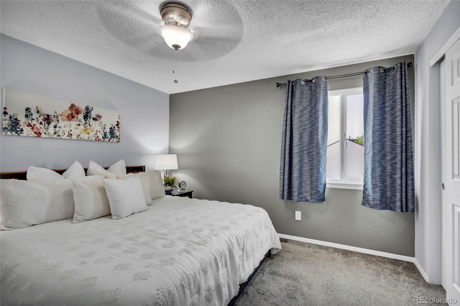 MLS Image #10 for 12127  hudson court,thornton, Colorado