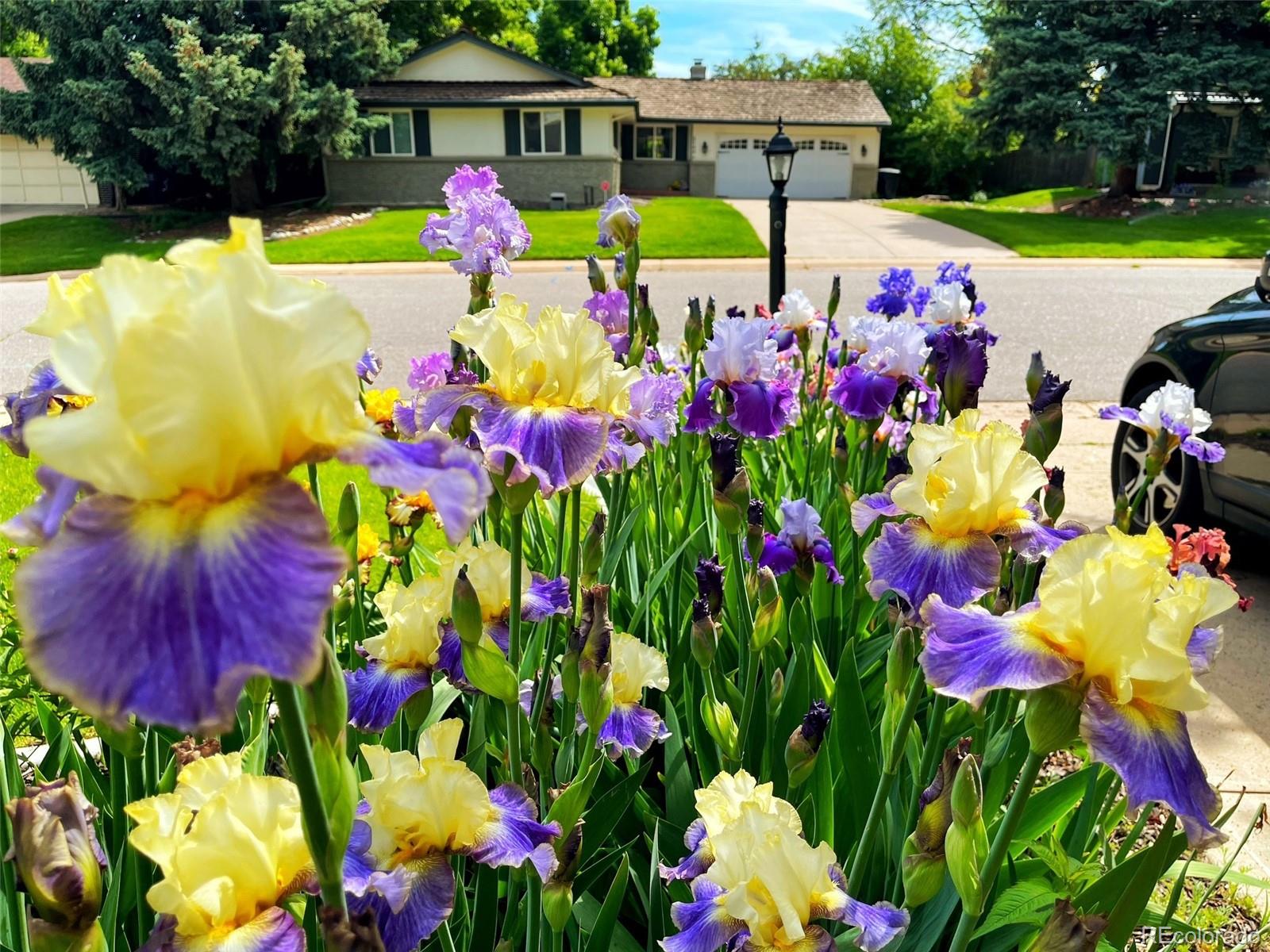 MLS Image #36 for 3141 s jasmine way,denver, Colorado