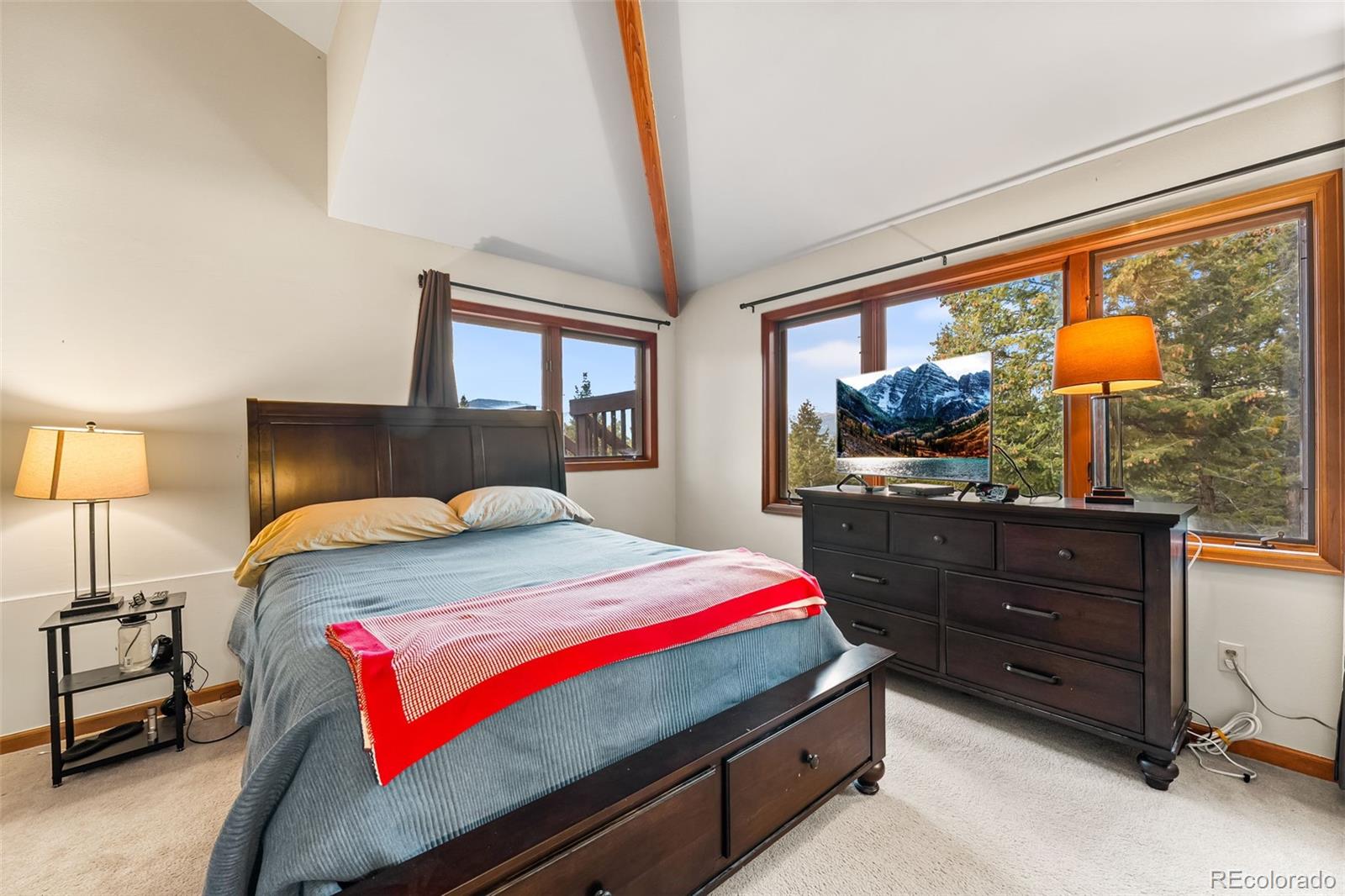 MLS Image #13 for 5109 s elk ridge road,evergreen, Colorado