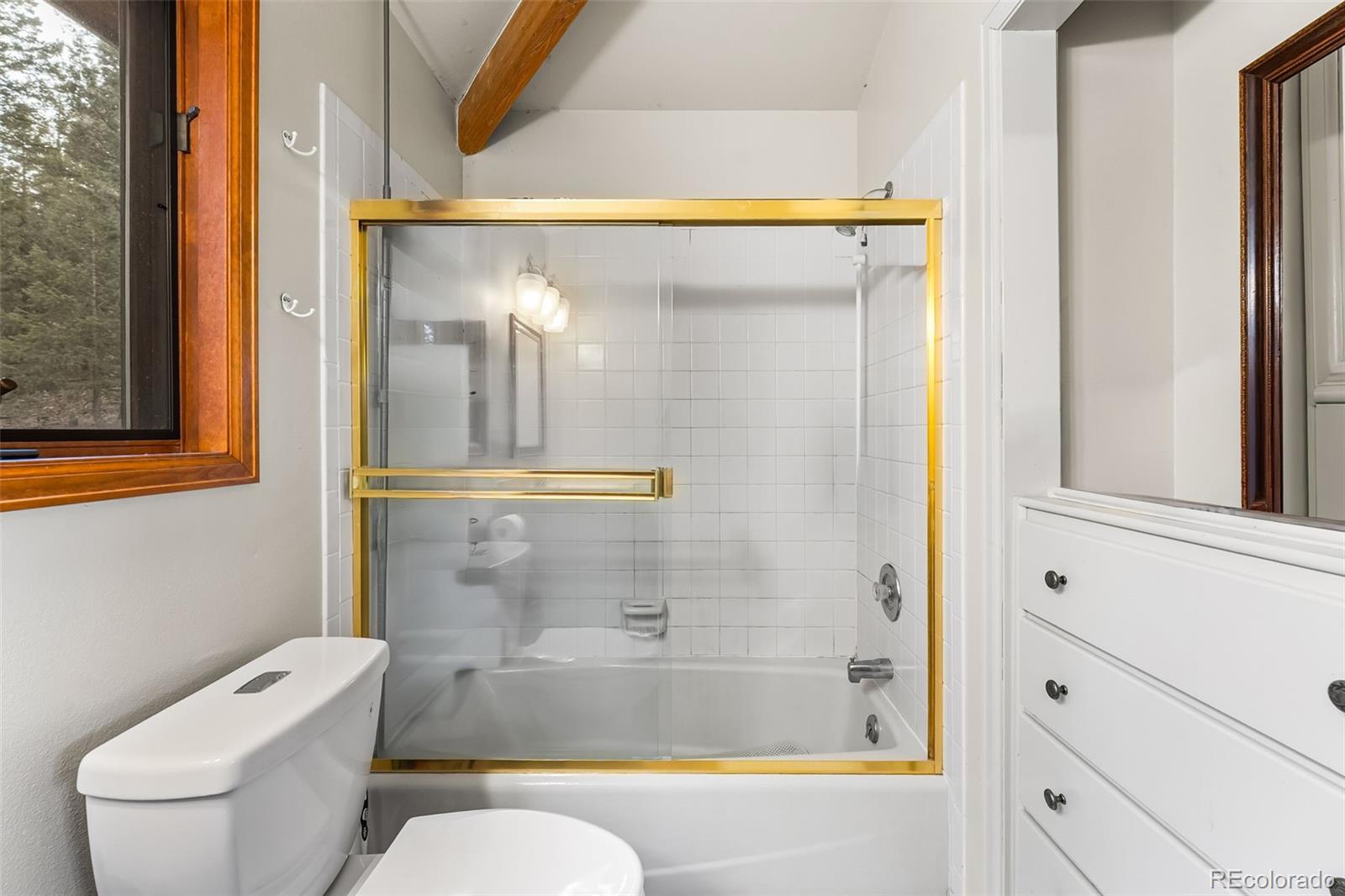 MLS Image #17 for 5109 s elk ridge road,evergreen, Colorado