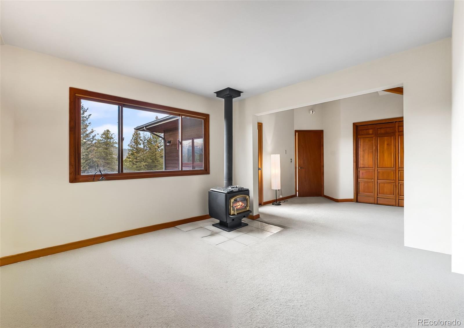 MLS Image #18 for 5109 s elk ridge road,evergreen, Colorado