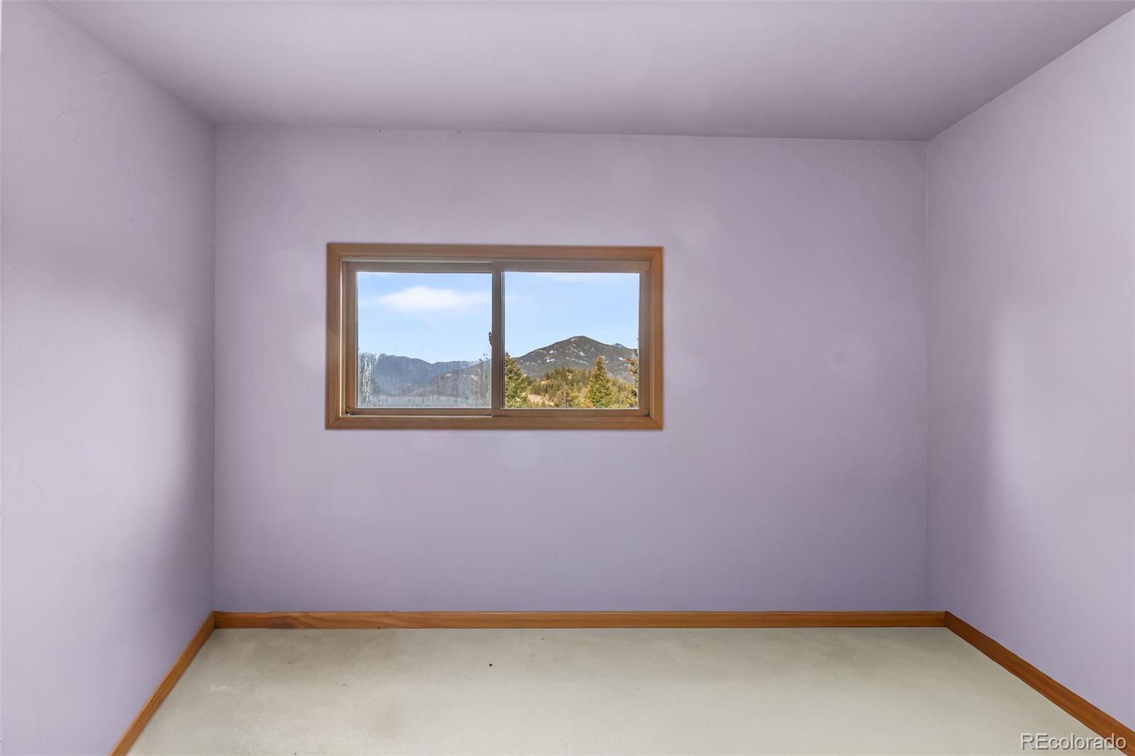 MLS Image #24 for 5109 s elk ridge road,evergreen, Colorado