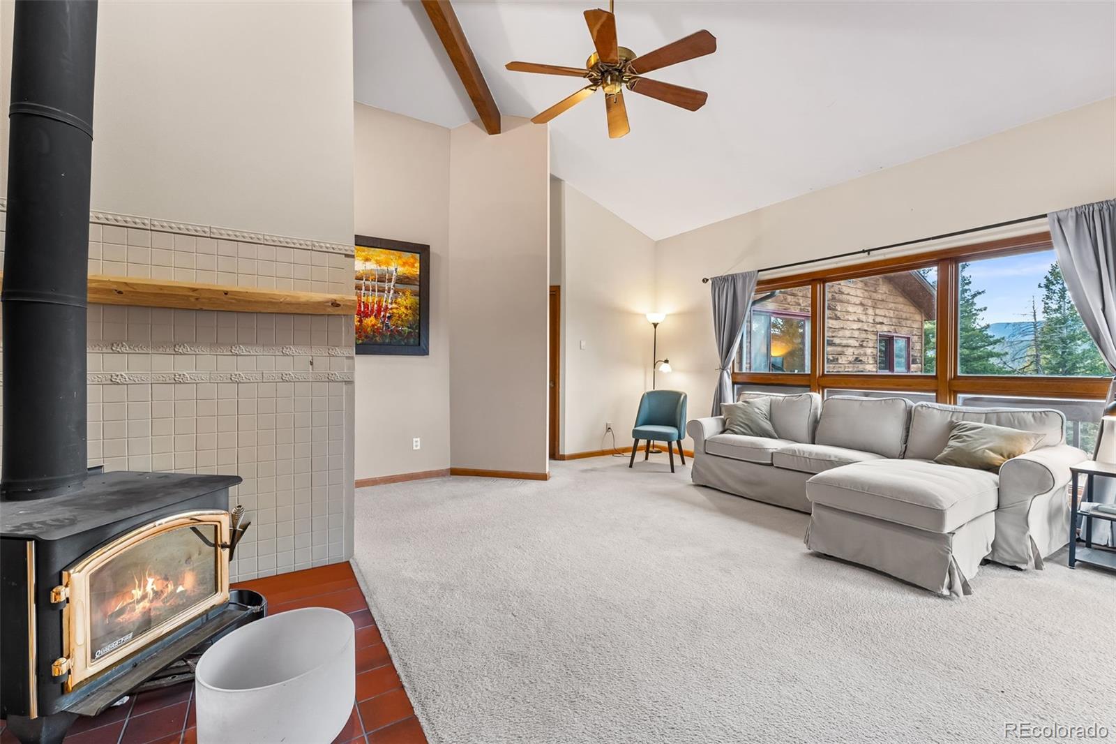 MLS Image #6 for 5109 s elk ridge road,evergreen, Colorado