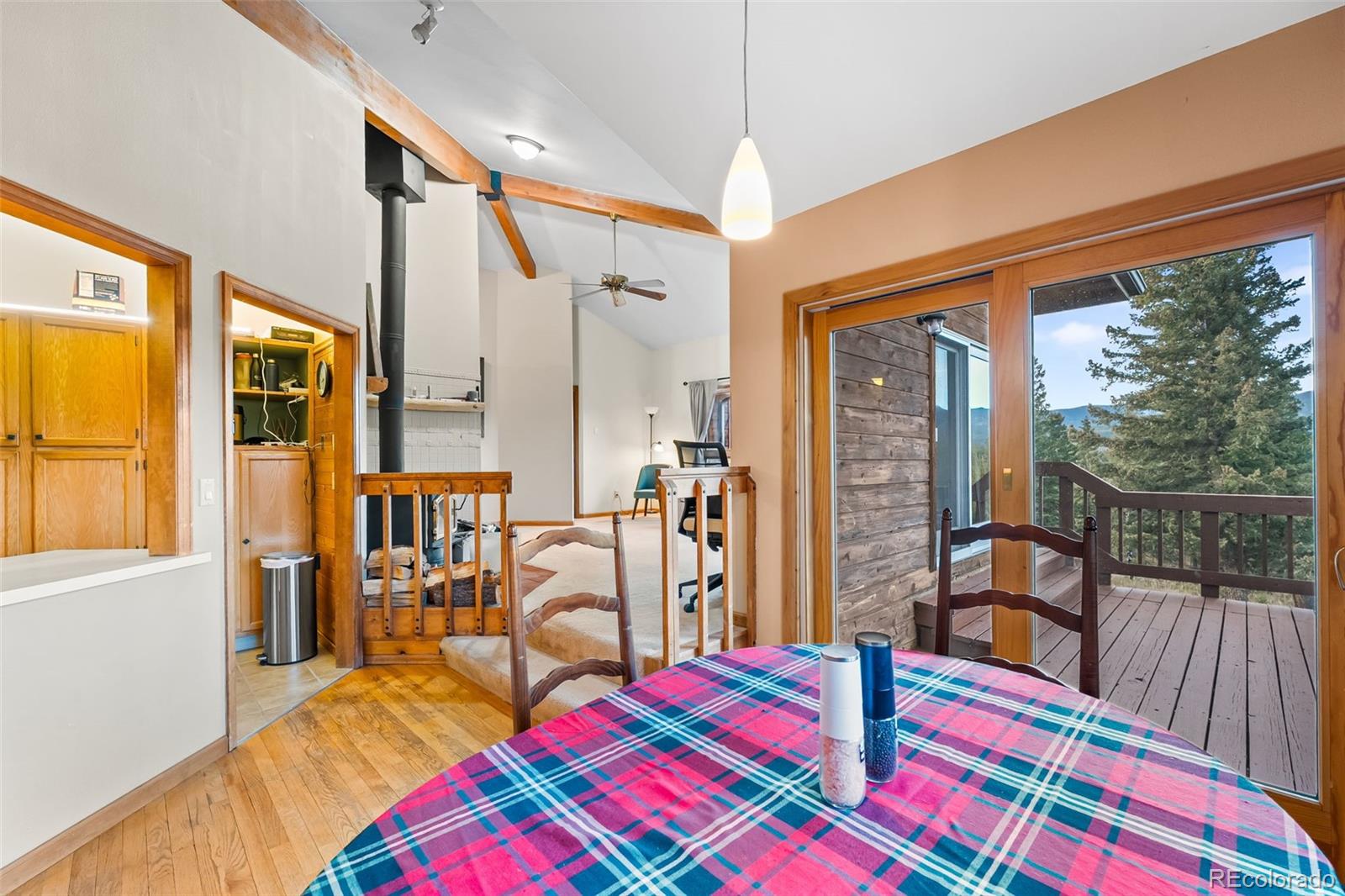 MLS Image #9 for 5109 s elk ridge road,evergreen, Colorado