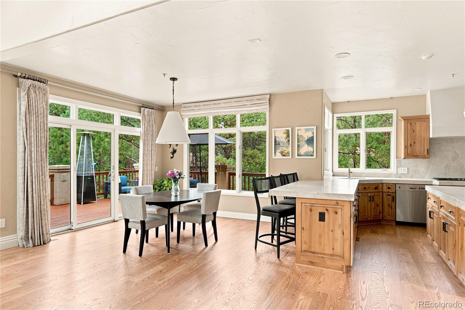 MLS Image #13 for 477  silbrico way,castle rock, Colorado