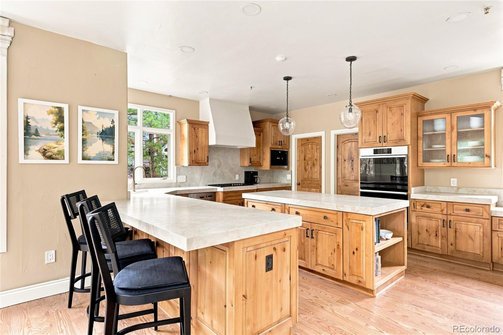 MLS Image #14 for 477  silbrico way,castle rock, Colorado