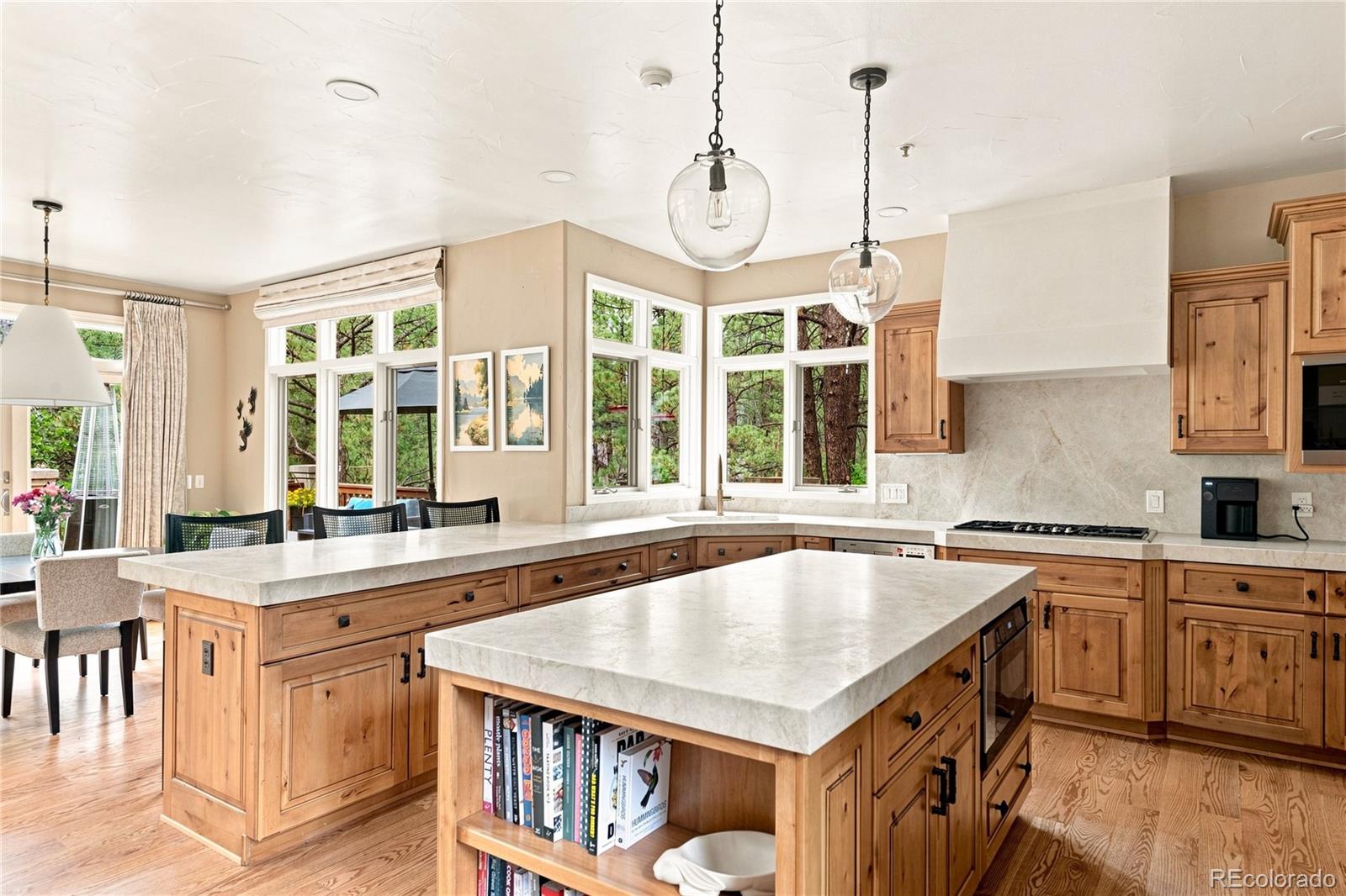 MLS Image #15 for 477  silbrico way,castle rock, Colorado