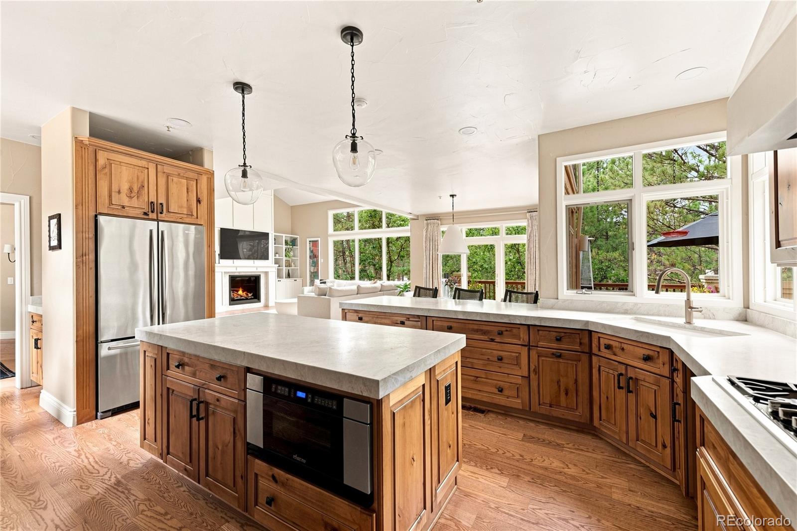 MLS Image #16 for 477  silbrico way,castle rock, Colorado