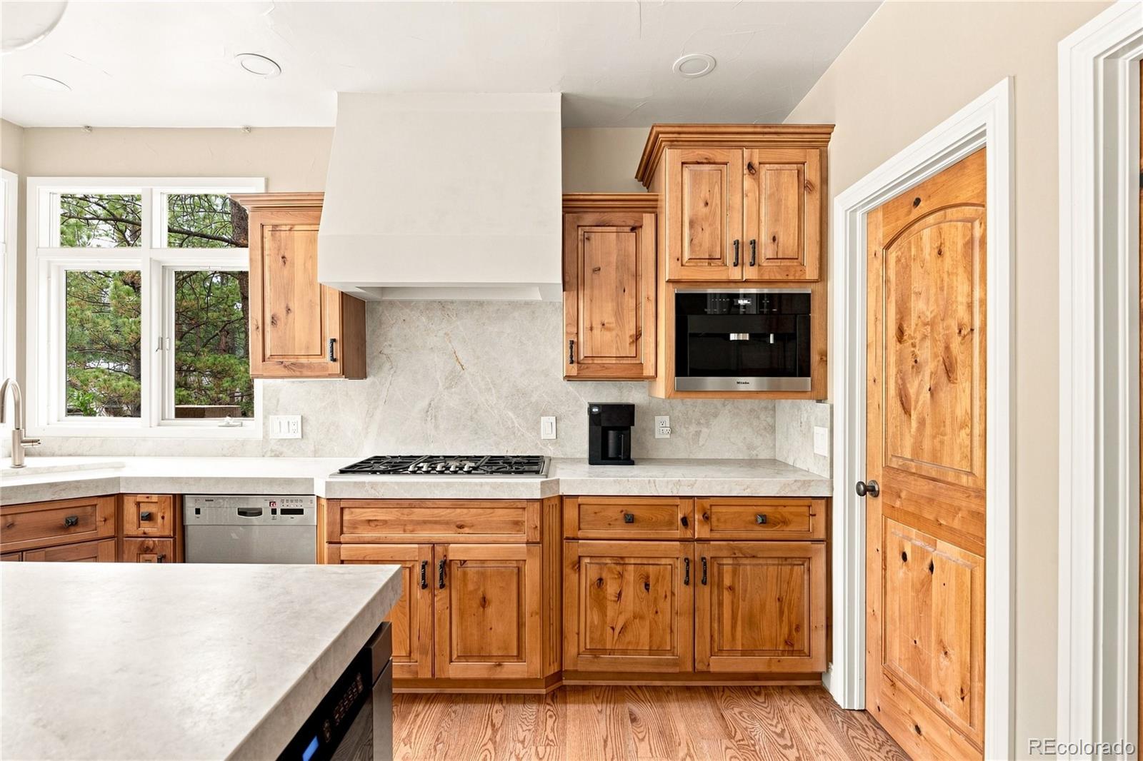 MLS Image #17 for 477  silbrico way,castle rock, Colorado