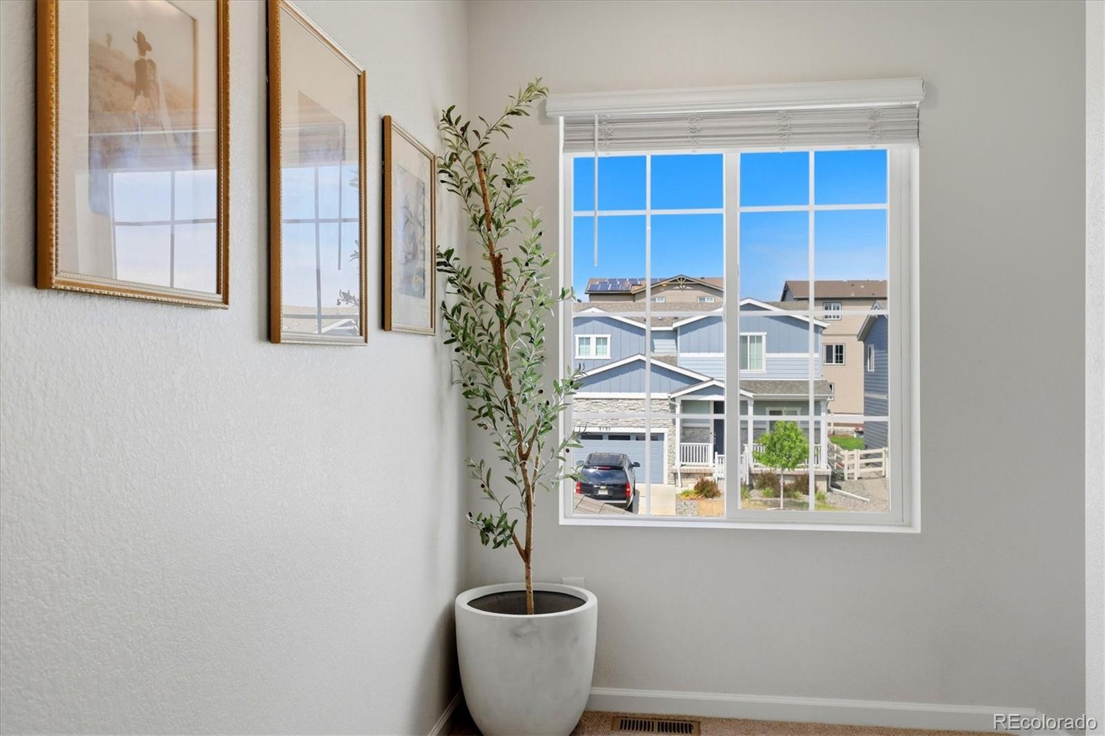 MLS Image #16 for 5138  blue lunar lane,castle rock, Colorado