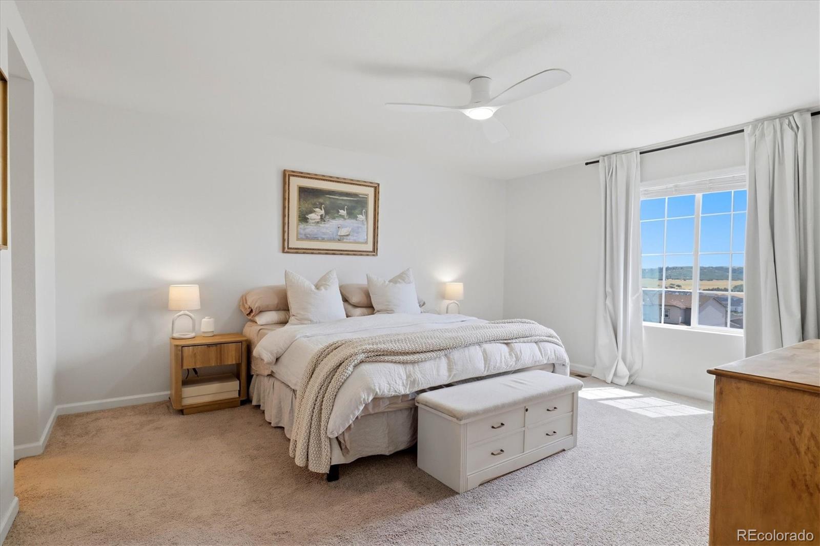 MLS Image #17 for 5138  blue lunar lane,castle rock, Colorado