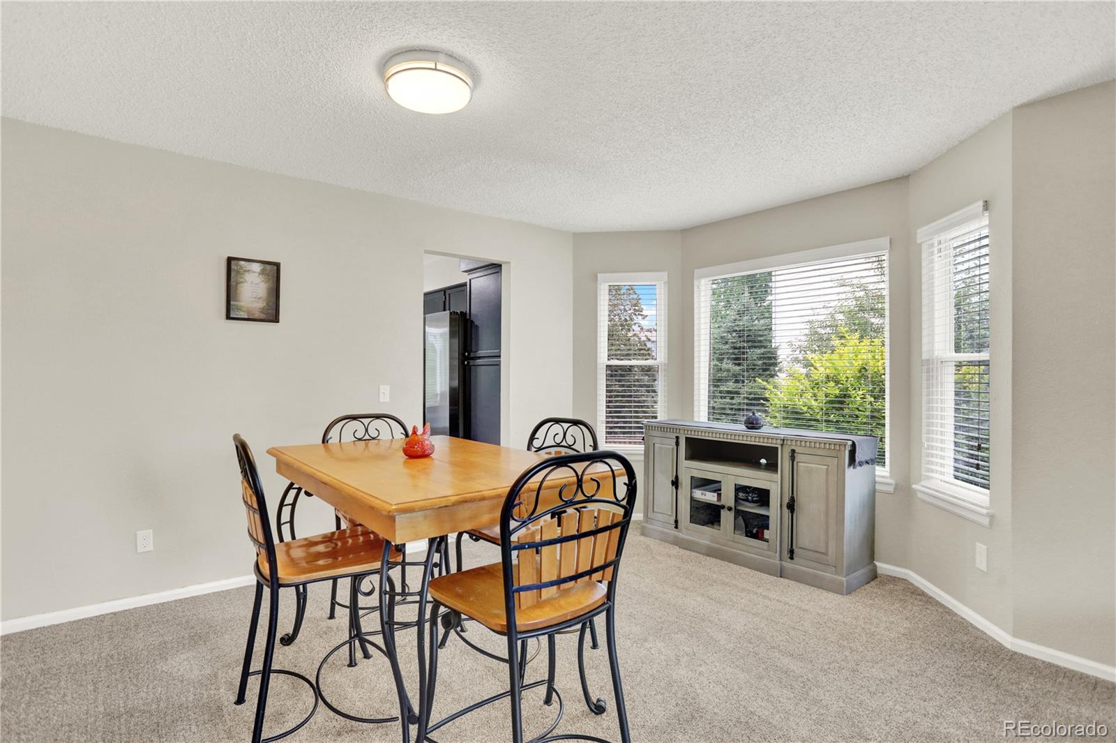 MLS Image #12 for 9543  hagen court,highlands ranch, Colorado