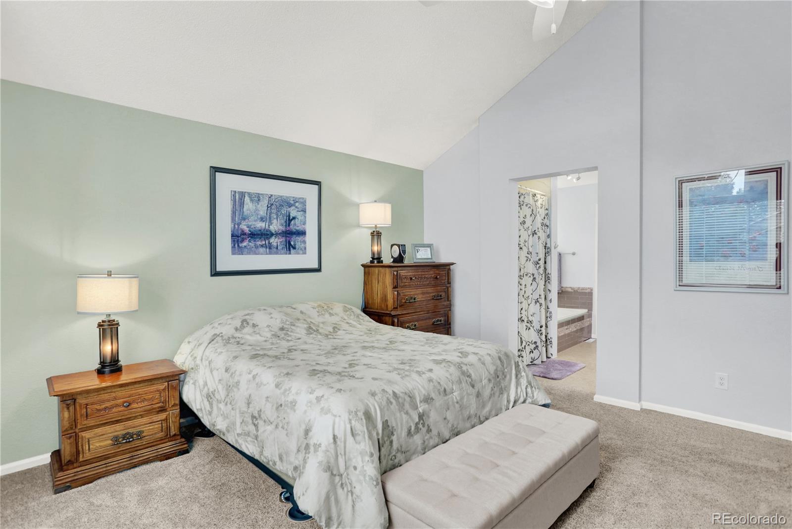 MLS Image #16 for 9543  hagen court,highlands ranch, Colorado