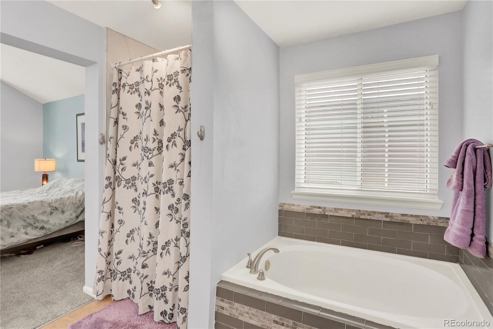 MLS Image #18 for 9543  hagen court,highlands ranch, Colorado