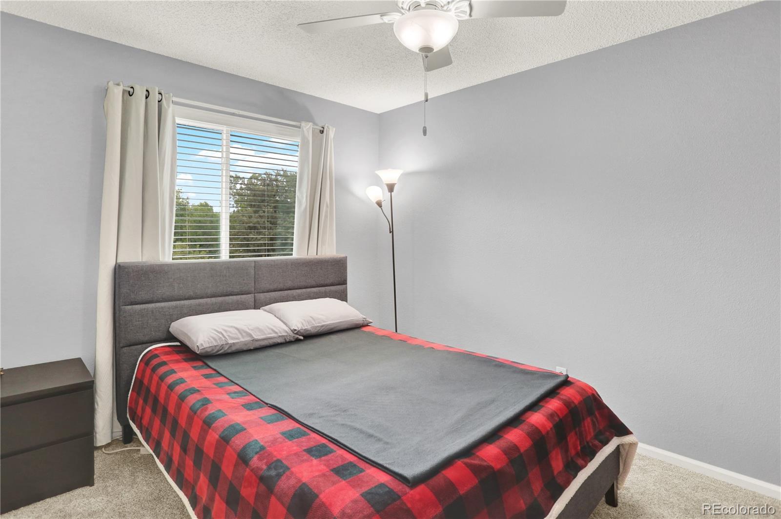 MLS Image #19 for 9543  hagen court,highlands ranch, Colorado