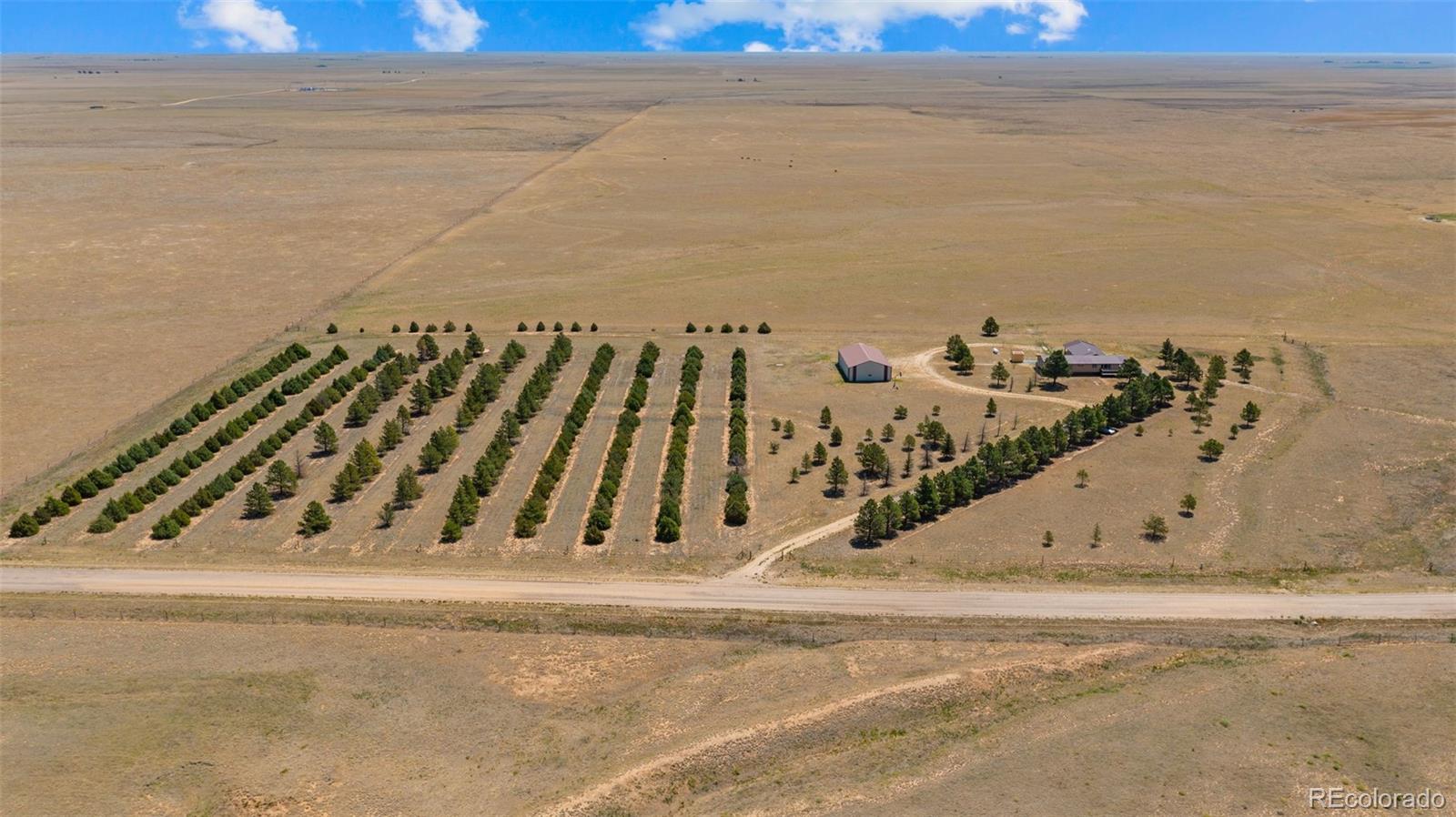 MLS Image #35 for 20402  county road 2 ,rush, Colorado