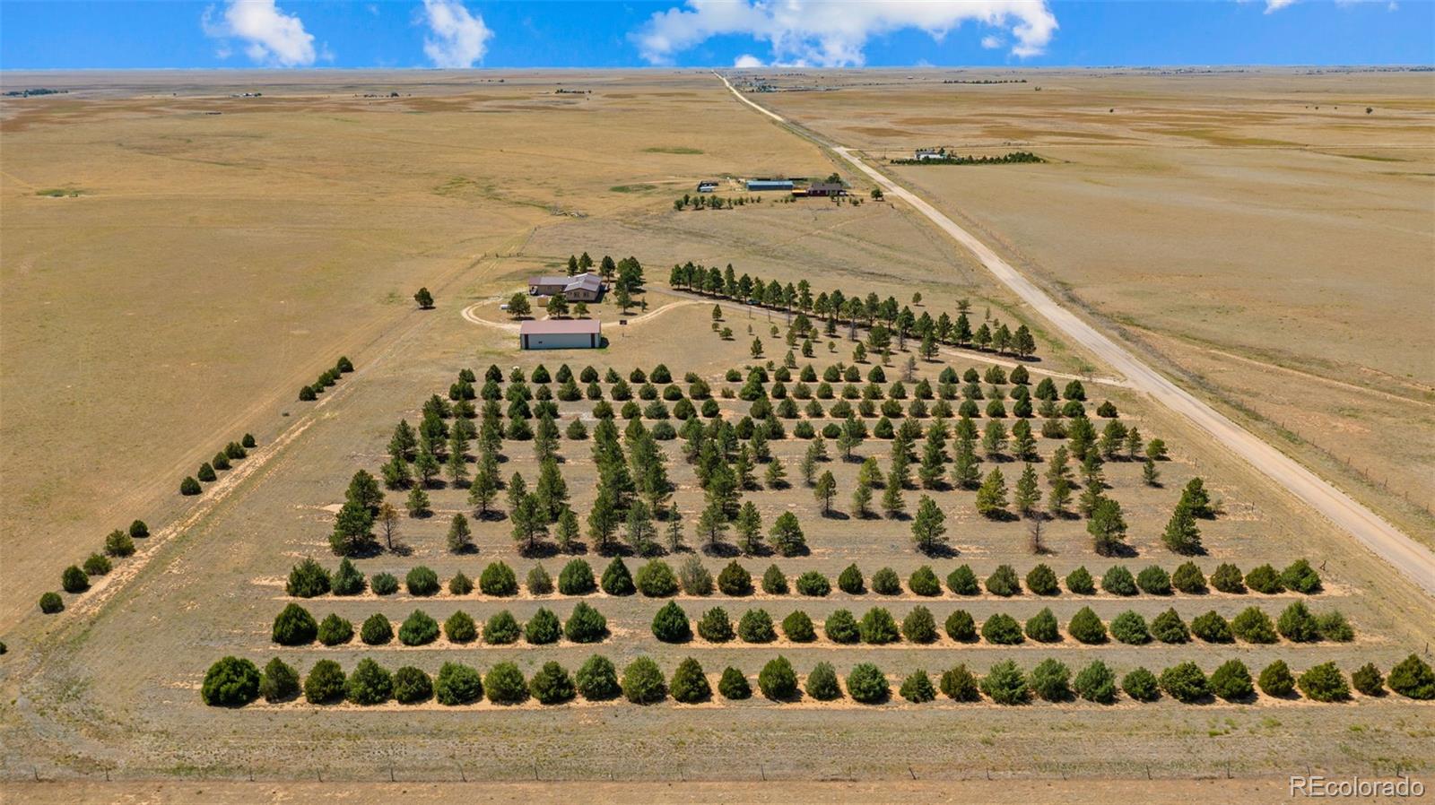 MLS Image #37 for 20402  county road 2 ,rush, Colorado