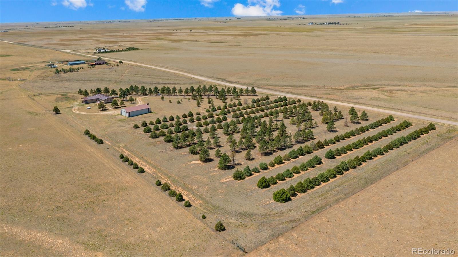 MLS Image #38 for 20402  county road 2 ,rush, Colorado
