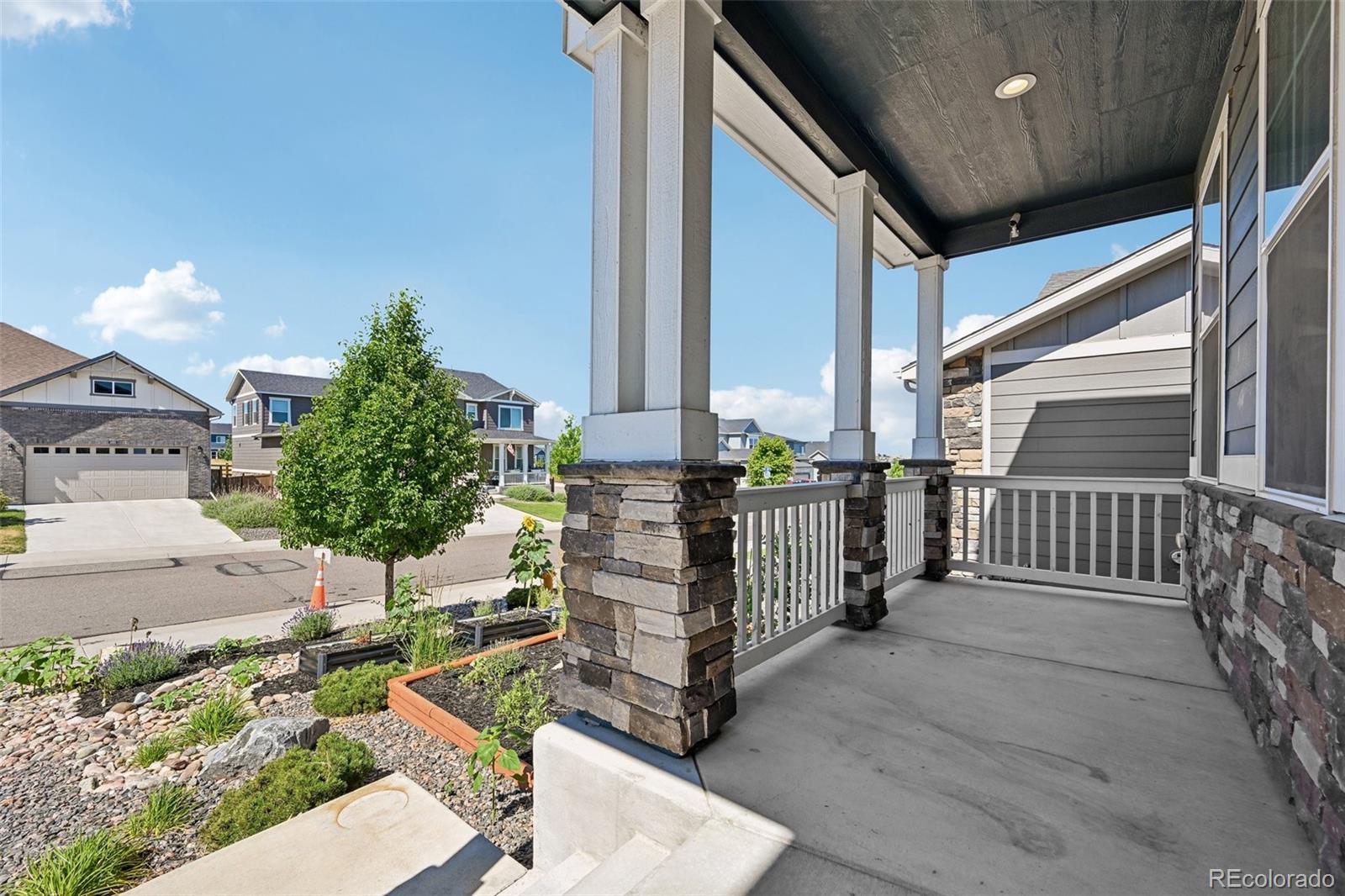 MLS Image #4 for 1483  wingfeather lane,castle rock, Colorado