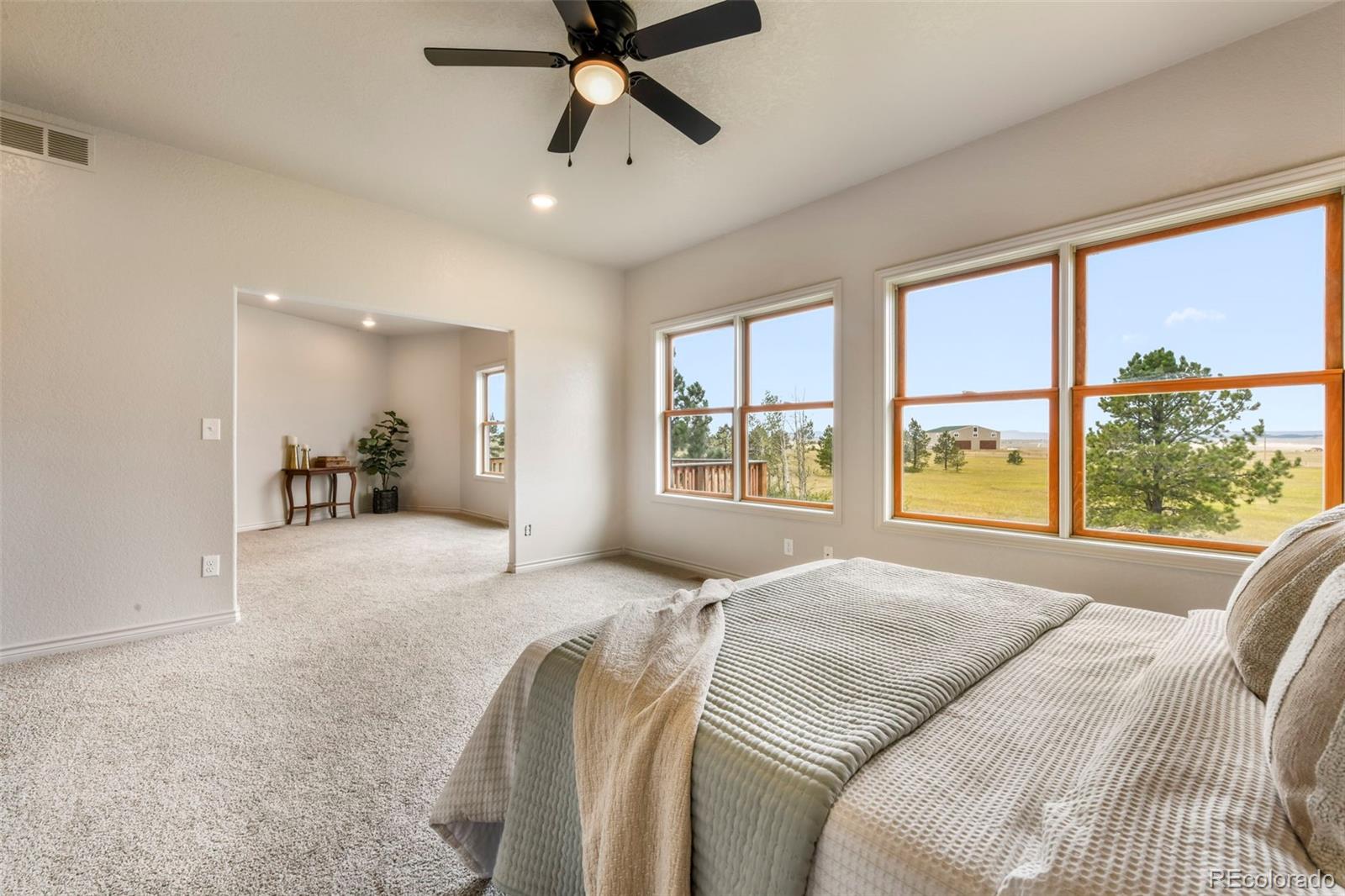 MLS Image #18 for 18050  quarterhorse lane,colorado springs, Colorado