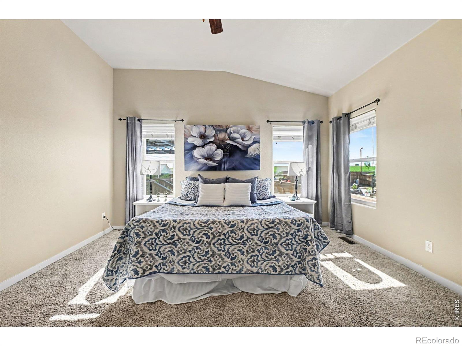 MLS Image #15 for 1593  sierra plaza street,severance, Colorado