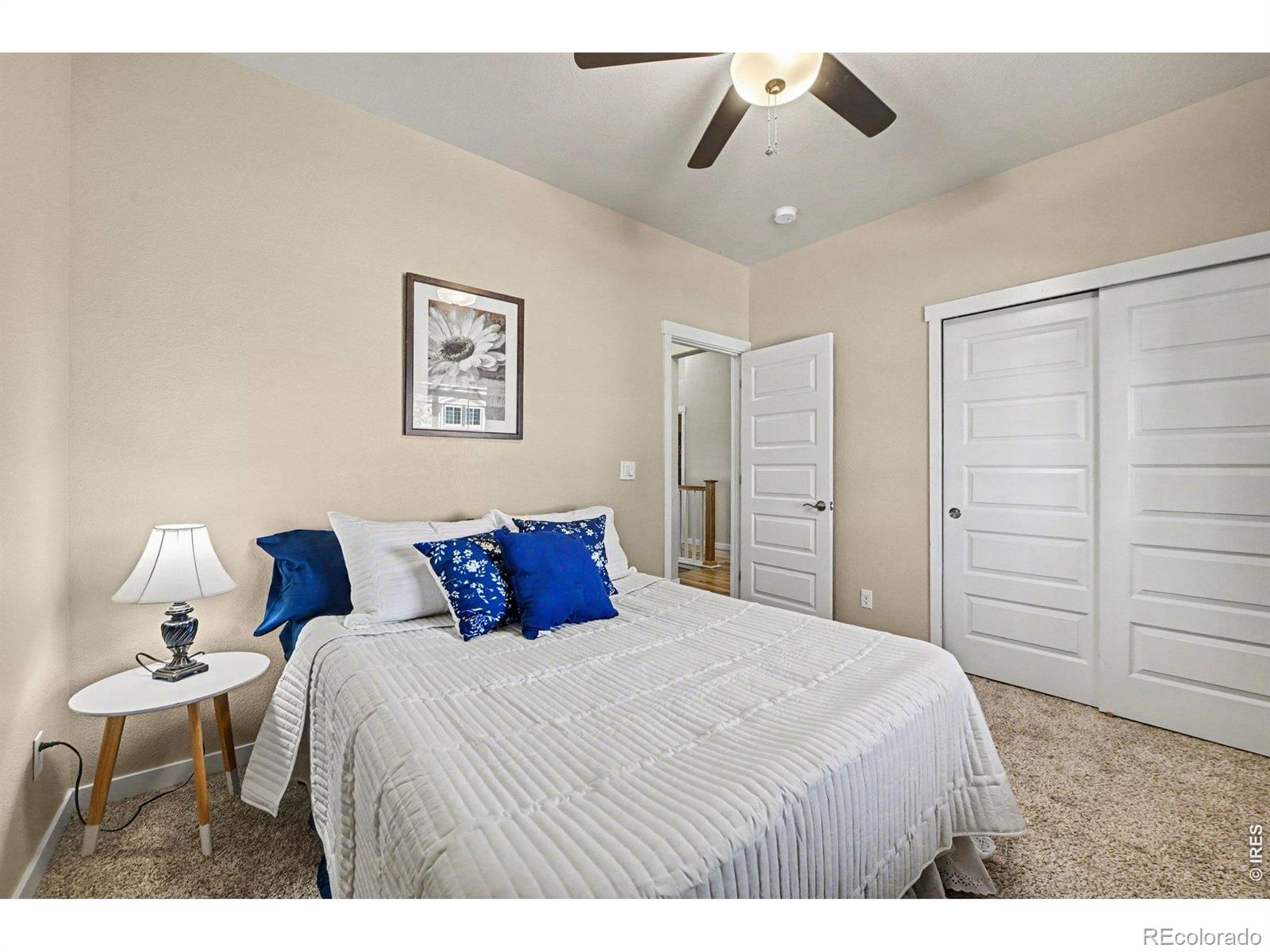 MLS Image #20 for 1593  sierra plaza street,severance, Colorado