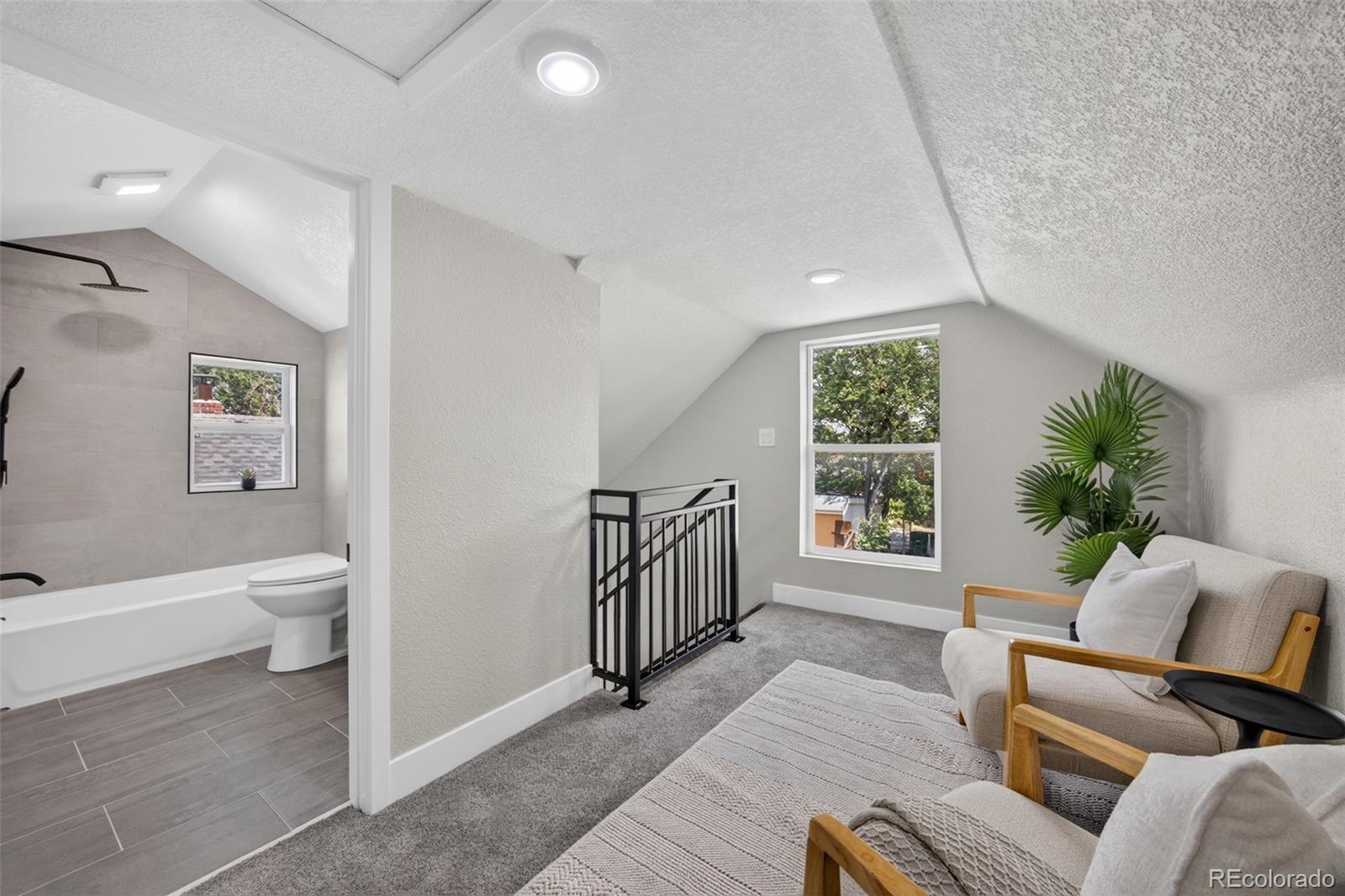 MLS Image #21 for 4432  lincoln street,denver, Colorado
