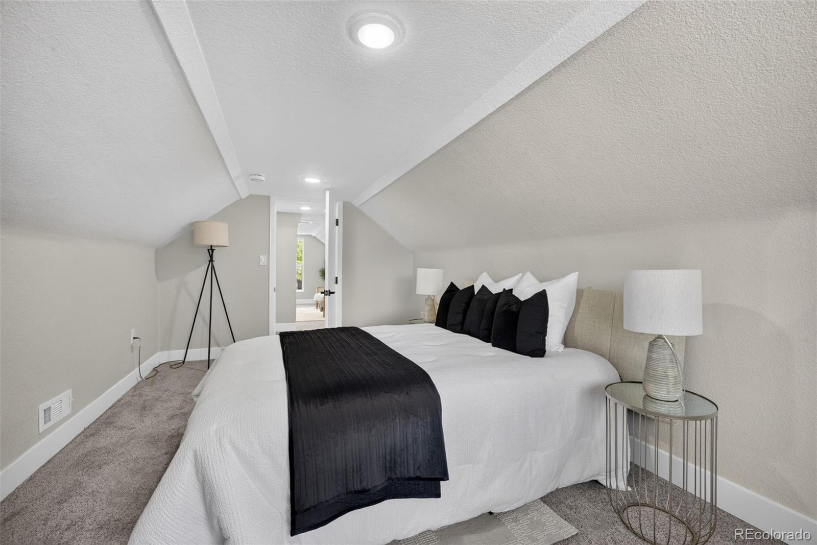 MLS Image #23 for 4432  lincoln street,denver, Colorado