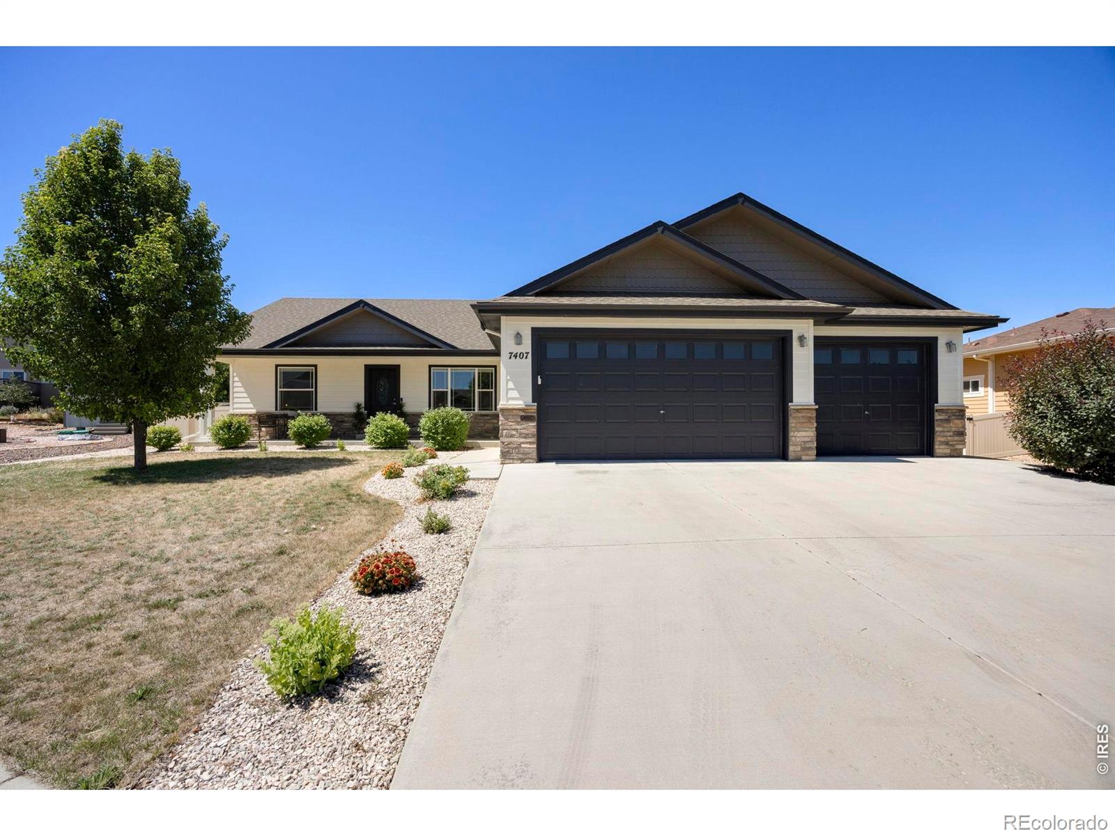 MLS Image #1 for 7407  turnbull court,windsor, Colorado