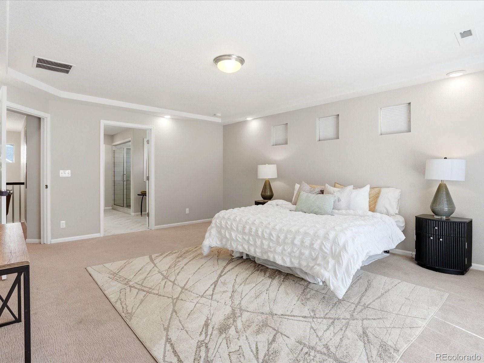 MLS Image #29 for 4984  malaya street,denver, Colorado