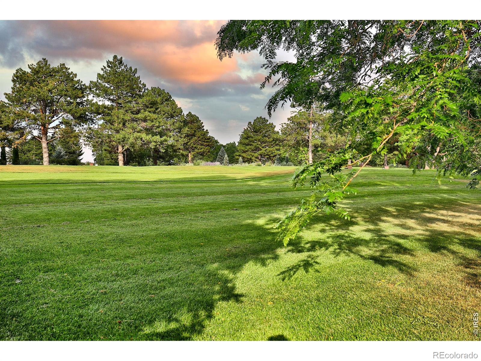 MLS Image #2 for 1904  cottonwood point drive,fort collins, Colorado