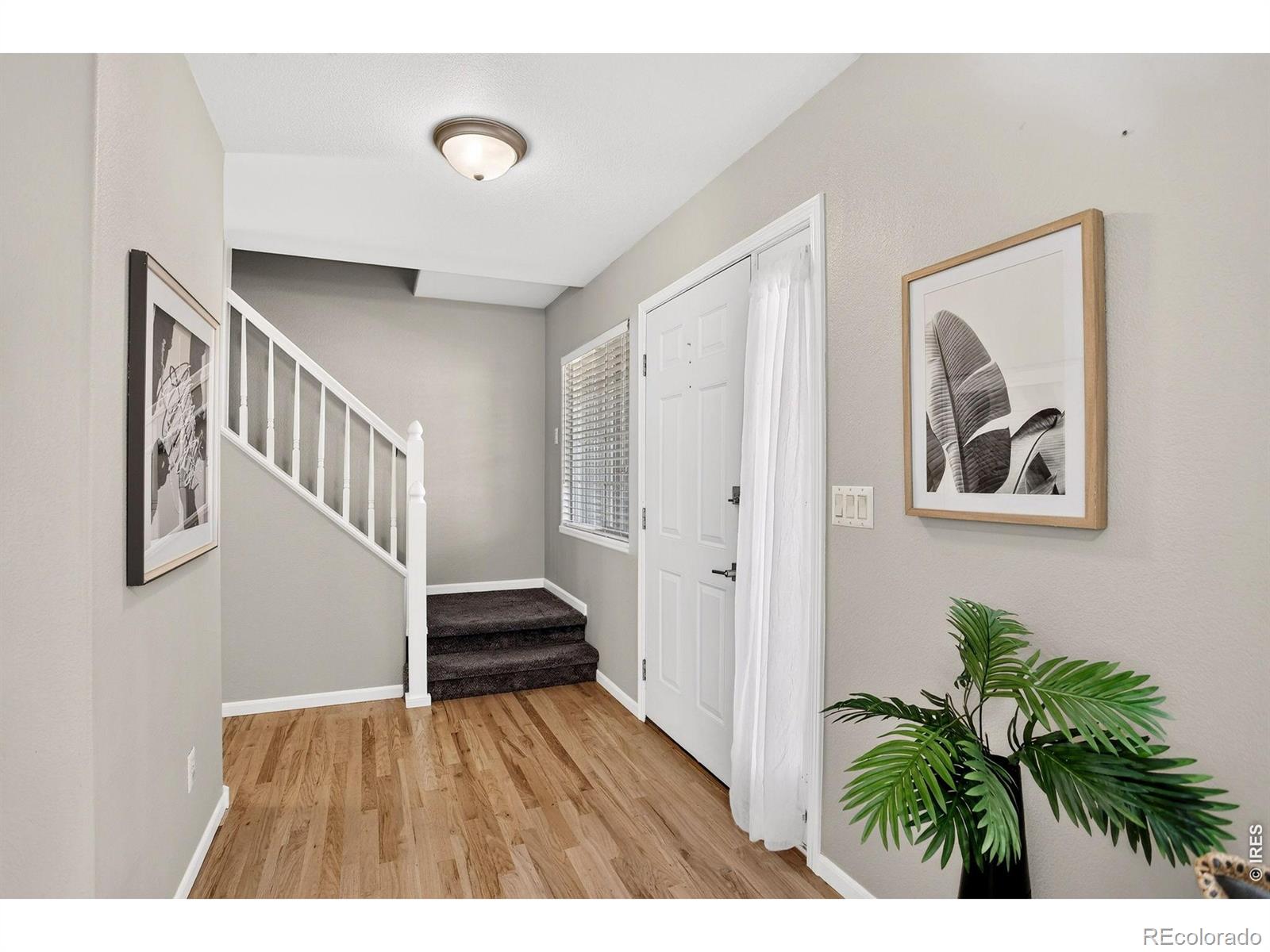 MLS Image #11 for 237  tiabi drive,loveland, Colorado