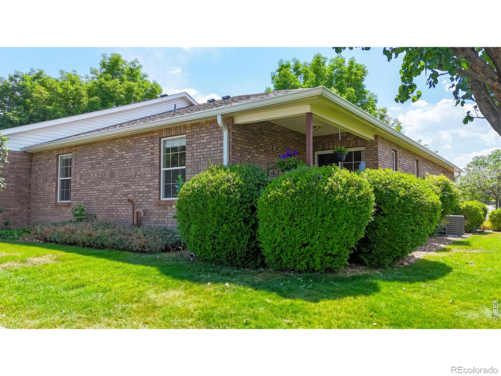 MLS Image #32 for 228  shupe circle,loveland, Colorado