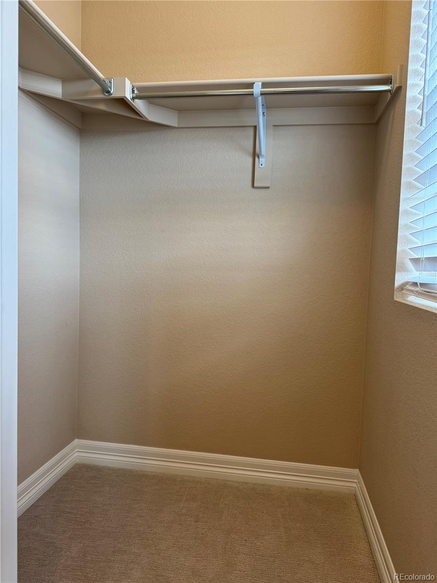 MLS Image #21 for 348  vista cliff circle,castle rock, Colorado