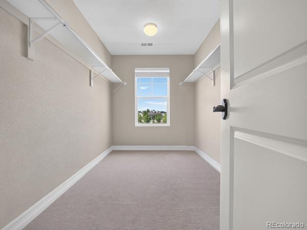 MLS Image #22 for 348  vista cliff circle,castle rock, Colorado