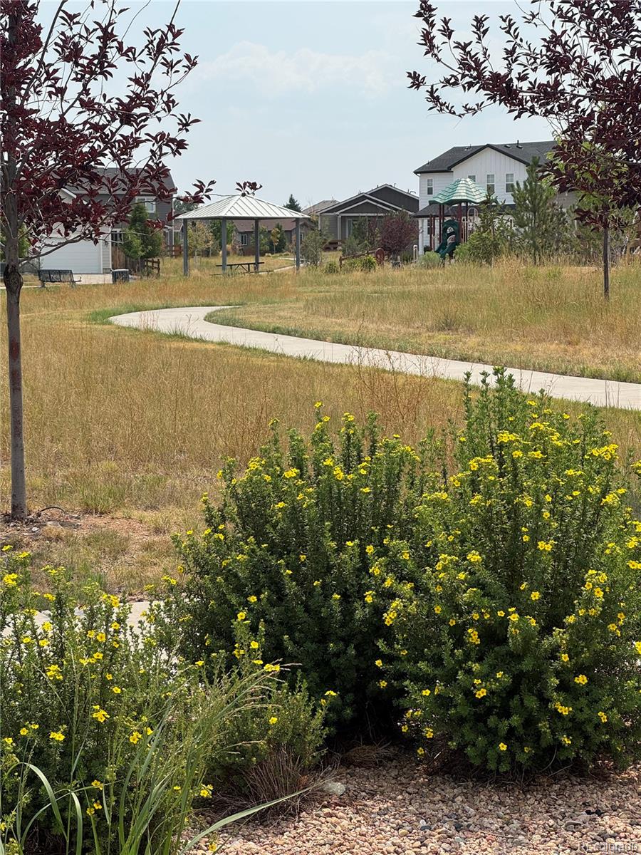 MLS Image #30 for 348  vista cliff circle,castle rock, Colorado