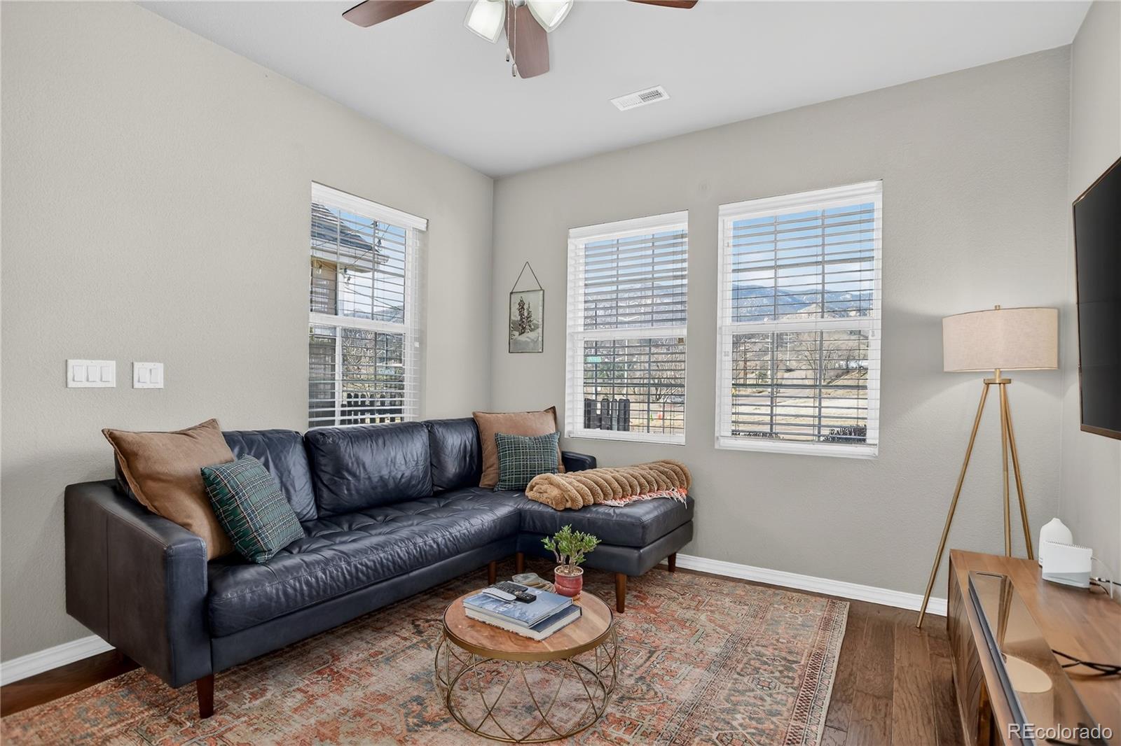 MLS Image #13 for 478  gray horse alley,colorado springs, Colorado