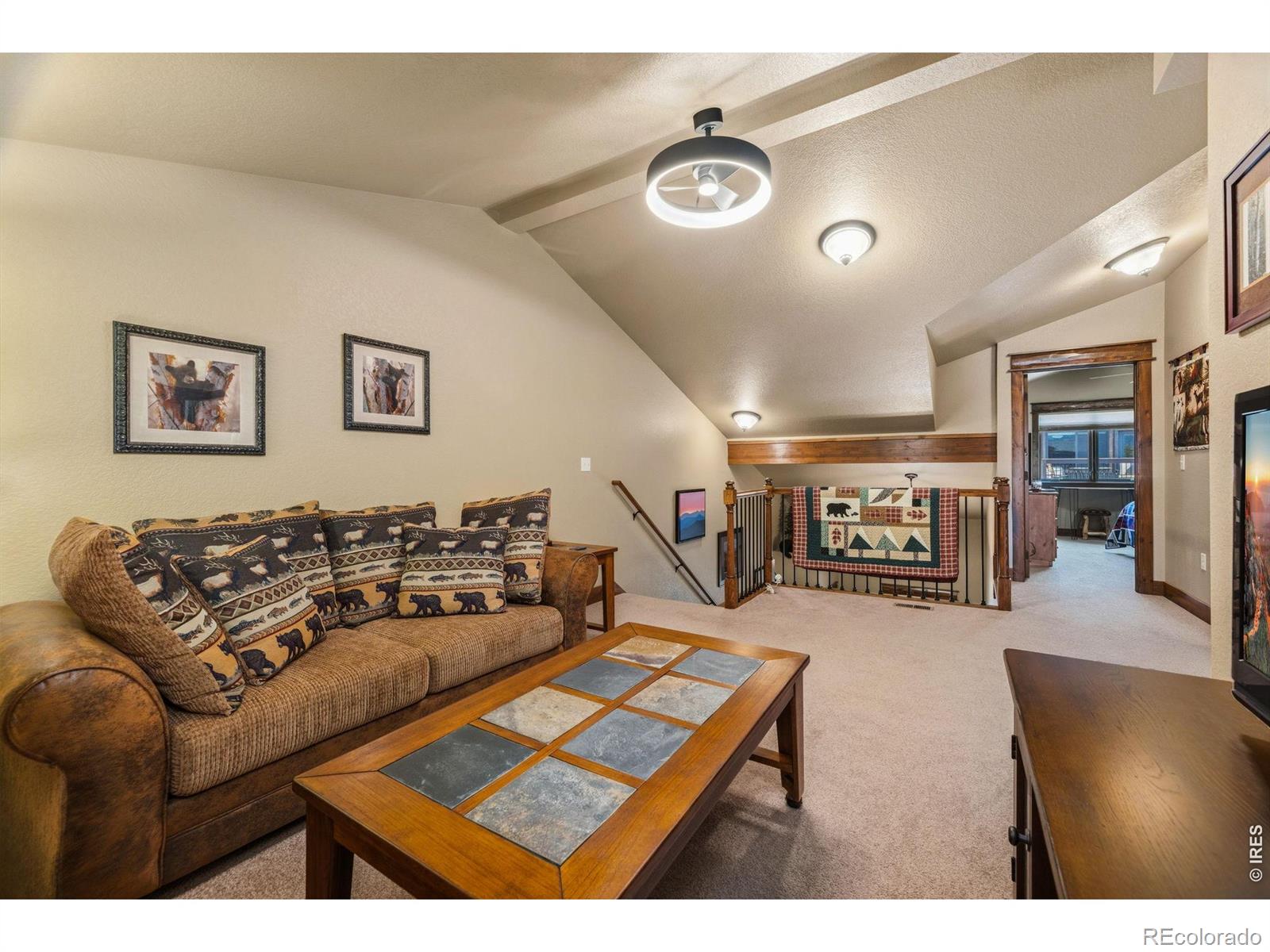 MLS Image #27 for 1220  timber mountain lane,estes park, Colorado