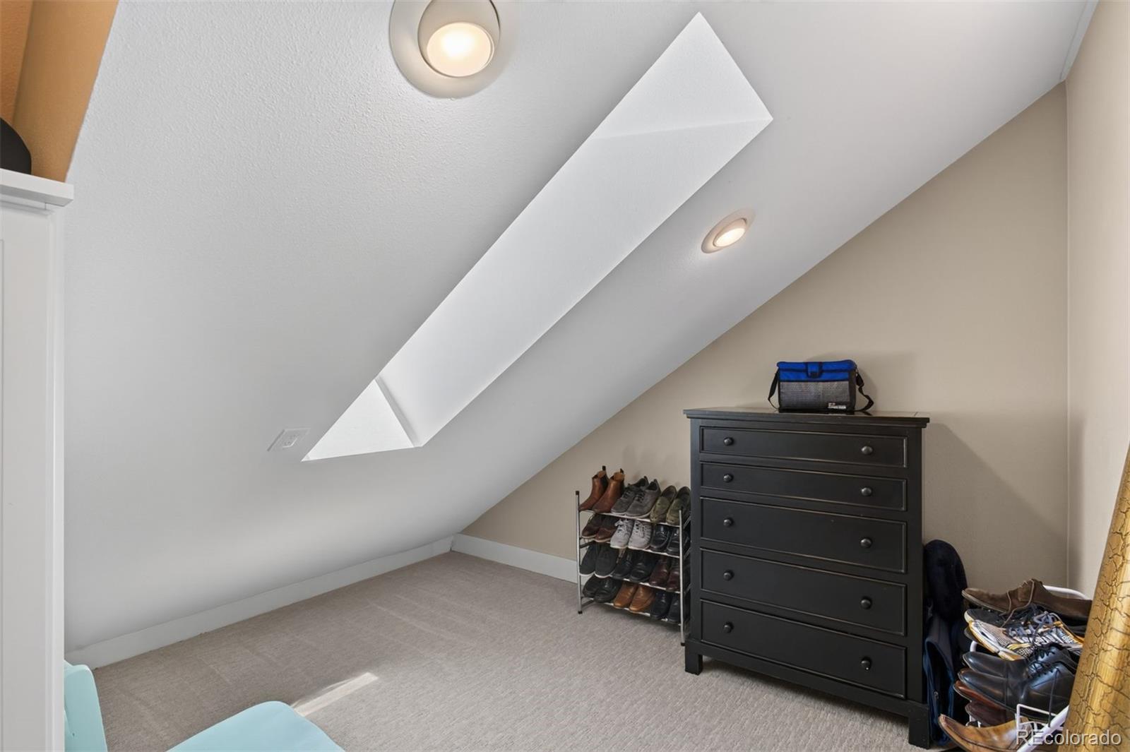 MLS Image #27 for 668 s corona street,denver, Colorado