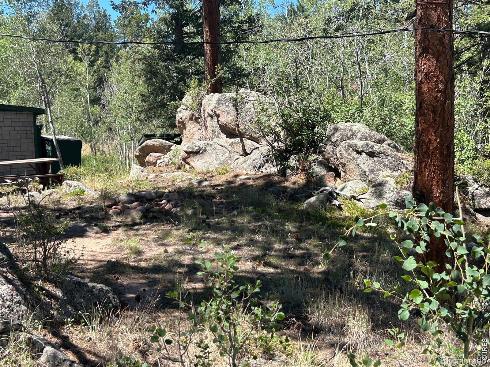 MLS Image #14 for 745  nokomis road,red feather lakes, Colorado