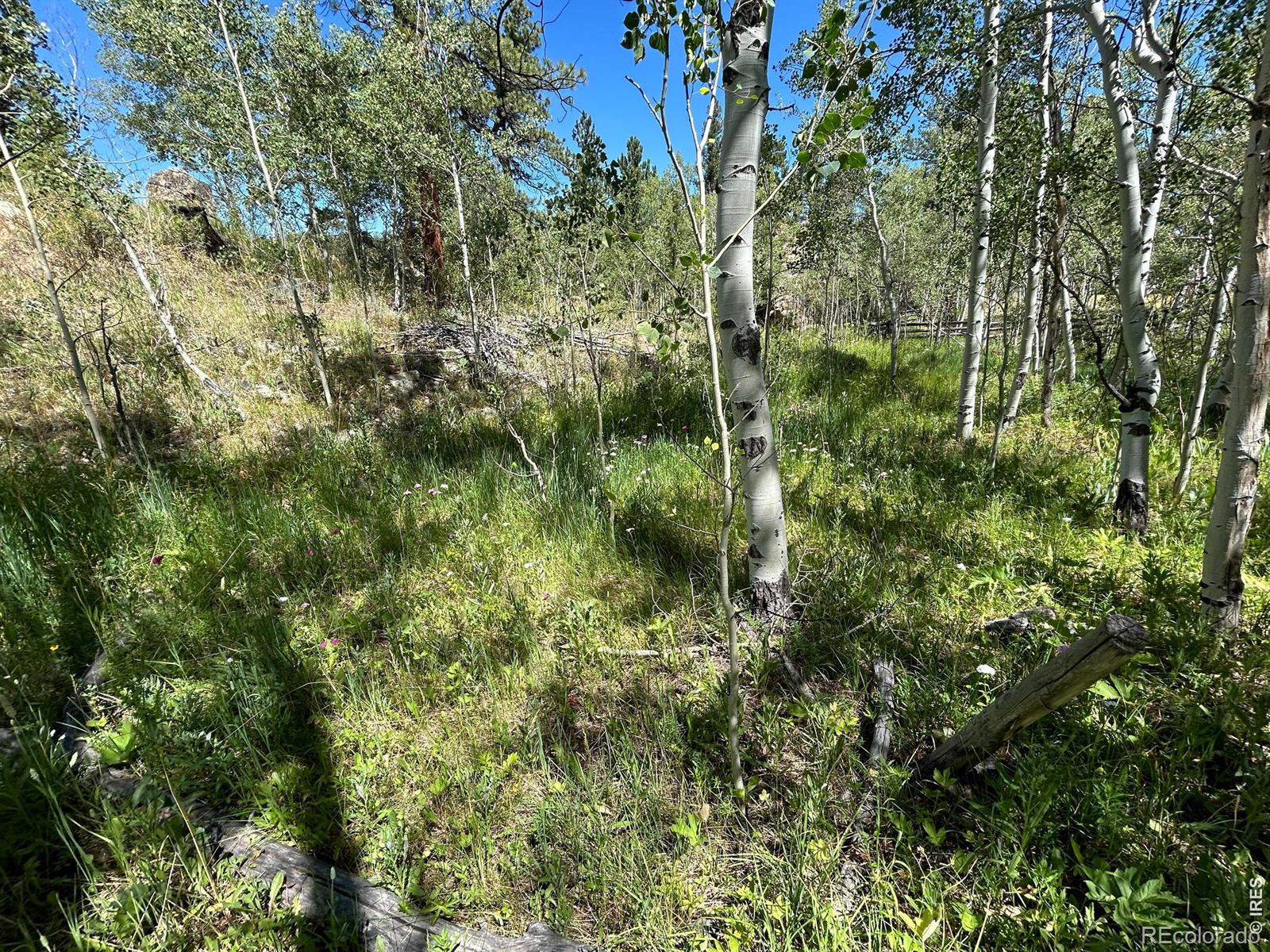MLS Image #9 for 745  nokomis road,red feather lakes, Colorado