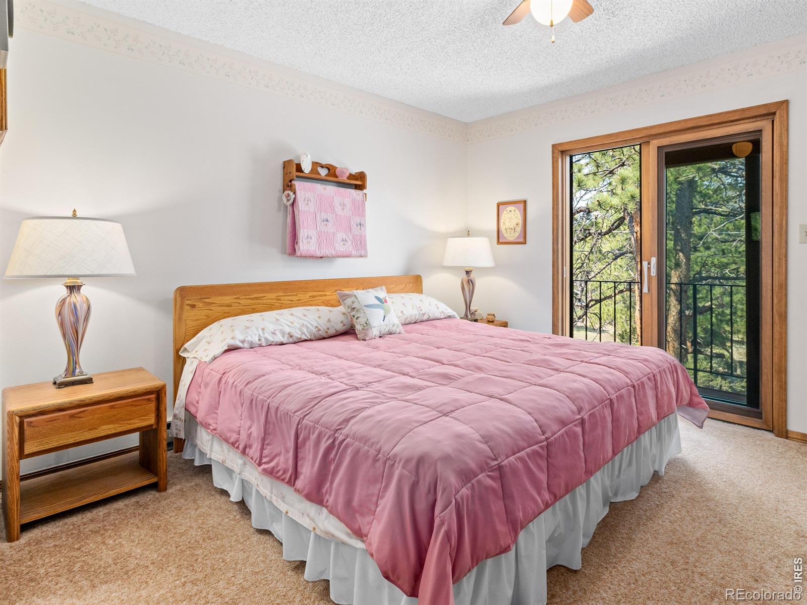 MLS Image #23 for 321  big horn drive,estes park, Colorado