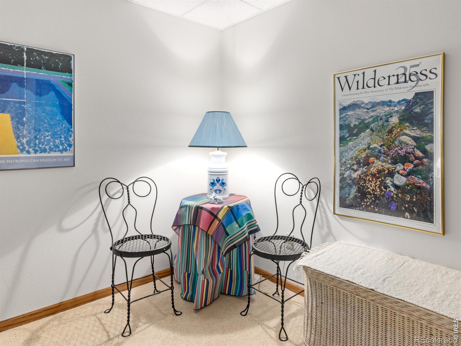 MLS Image #26 for 321  big horn drive,estes park, Colorado
