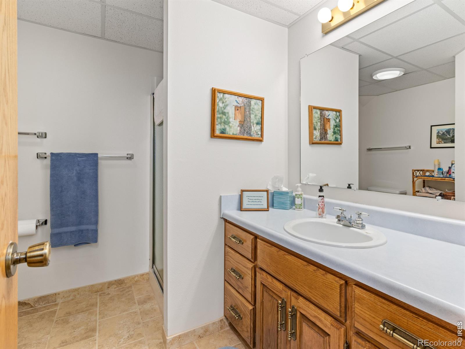 MLS Image #29 for 321  big horn drive,estes park, Colorado