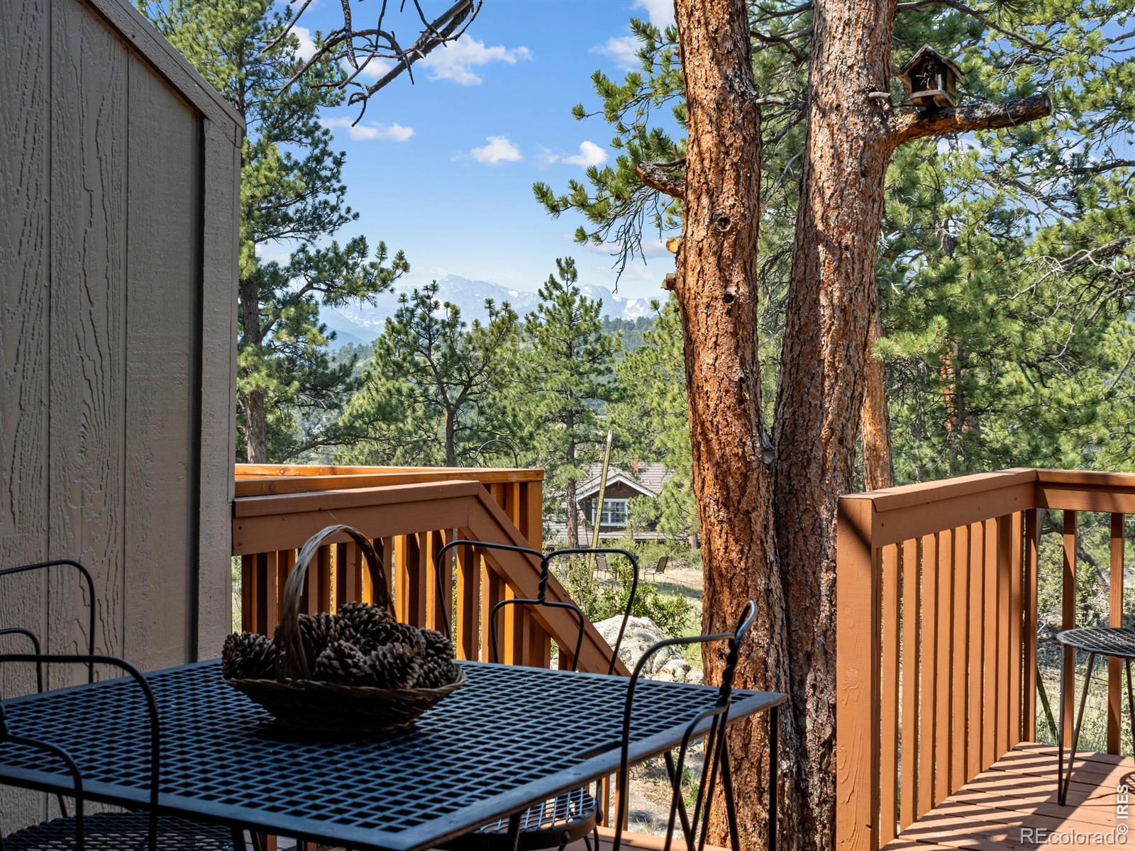 MLS Image #4 for 321  big horn drive,estes park, Colorado