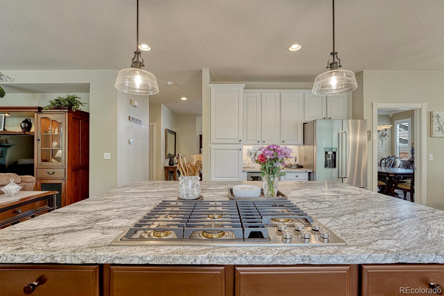 MLS Image #13 for 10744  addison court,littleton, Colorado