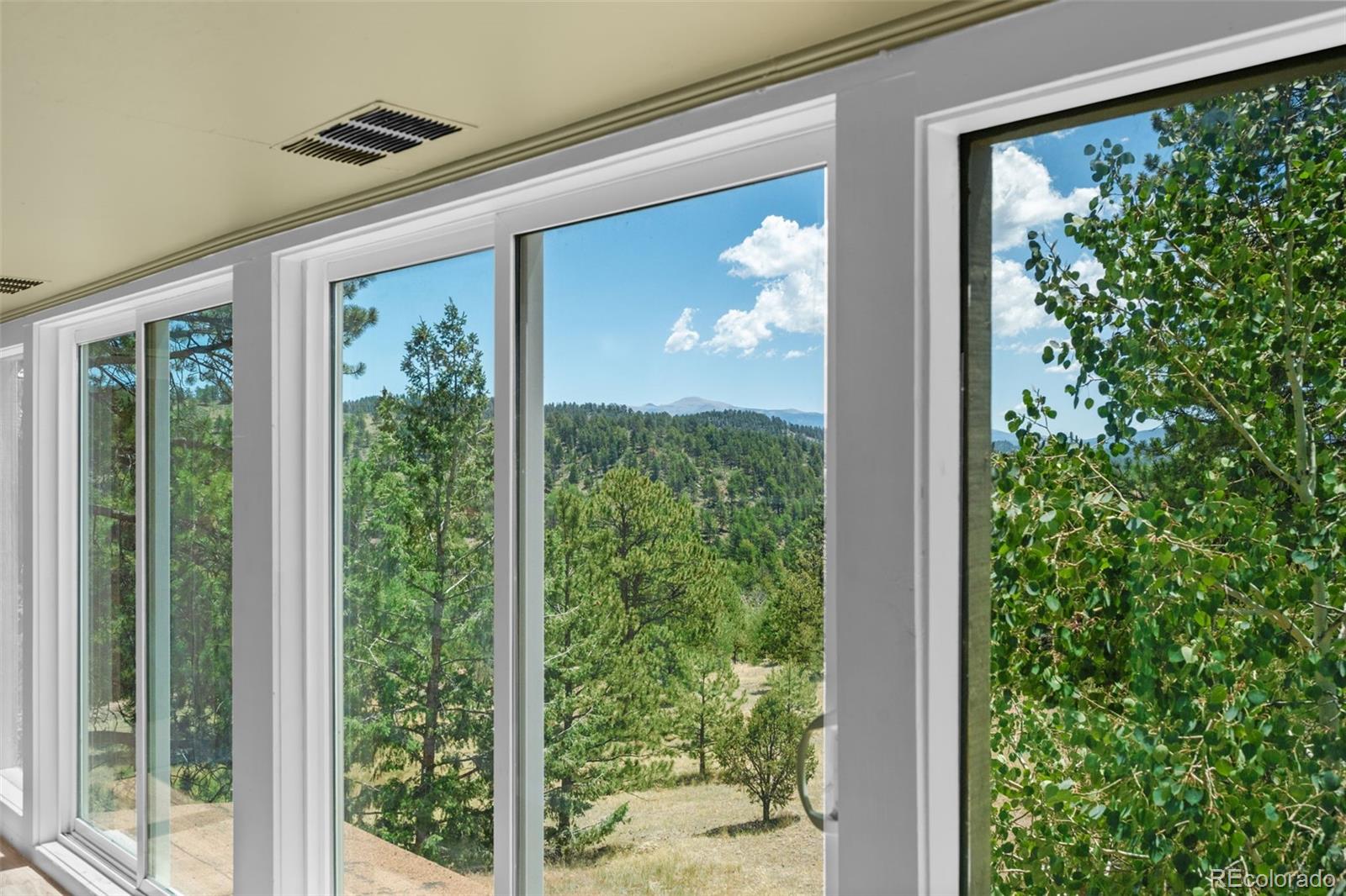 MLS Image #17 for 841  plateau drive,guffey, Colorado