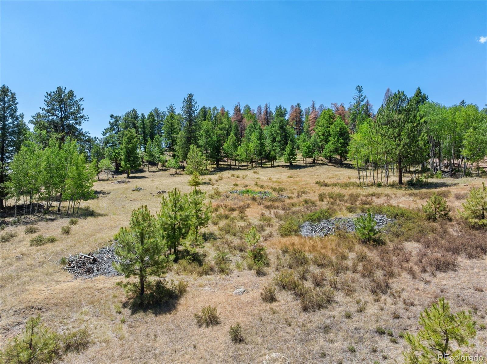 MLS Image #42 for 841  plateau drive,guffey, Colorado