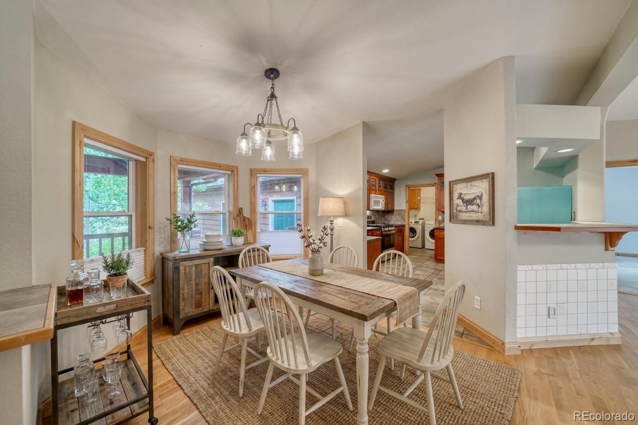 MLS Image #13 for 37  comstock court,leadville, Colorado