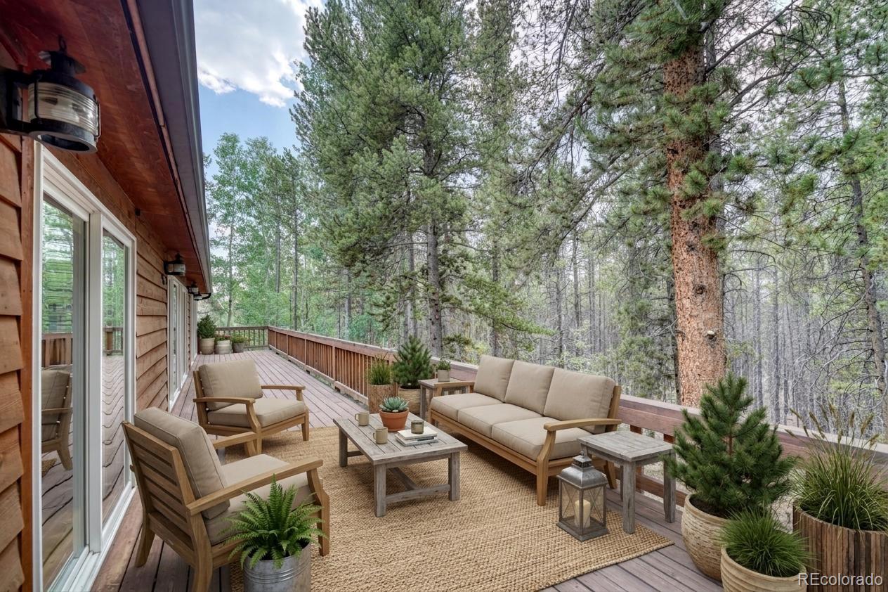 MLS Image #15 for 37  comstock court,leadville, Colorado